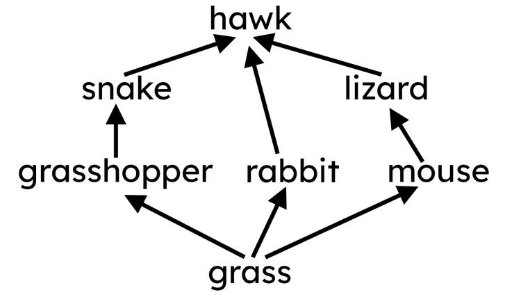 An image in a quiz