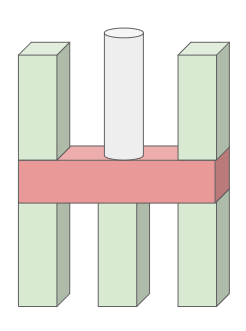 An image in a quiz