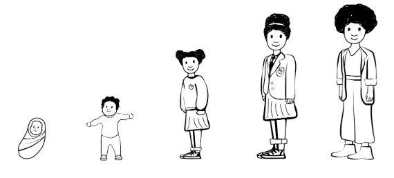 How do humans grow from birth to adulthood?