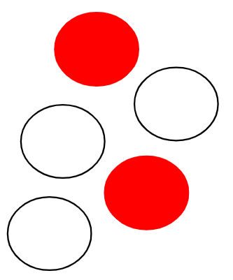 An image in a quiz