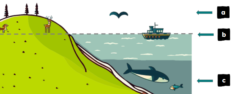 An image in a quiz