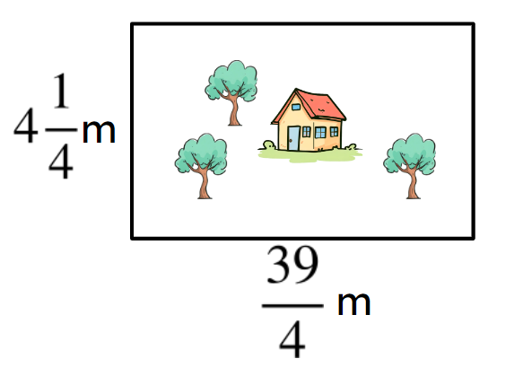 An image in a quiz