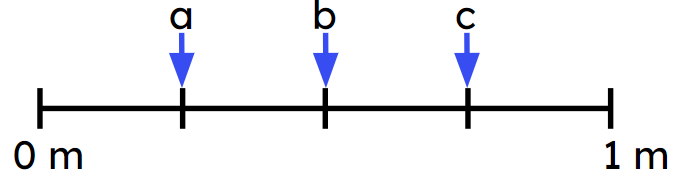 An image in a quiz