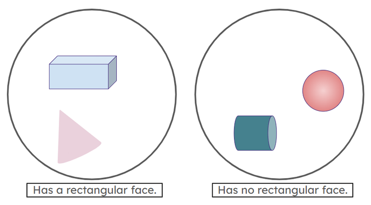 An image in a quiz