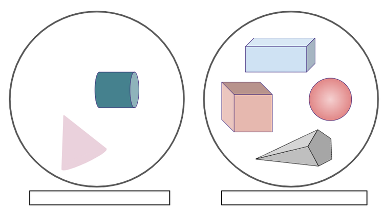 An image in a quiz