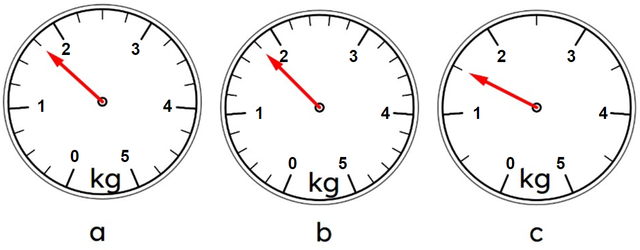 Which scale is showing the greatest mass?