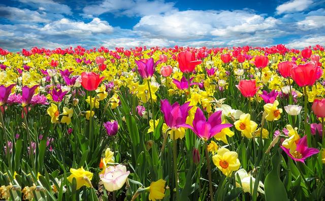 When is the season of spring?