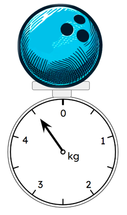 An image in a quiz