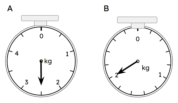 An image in a quiz