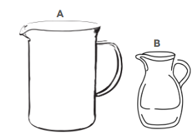An image in a quiz