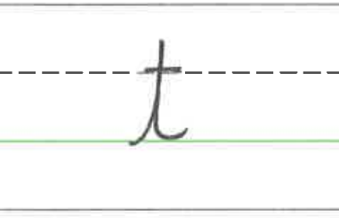 An image in a quiz