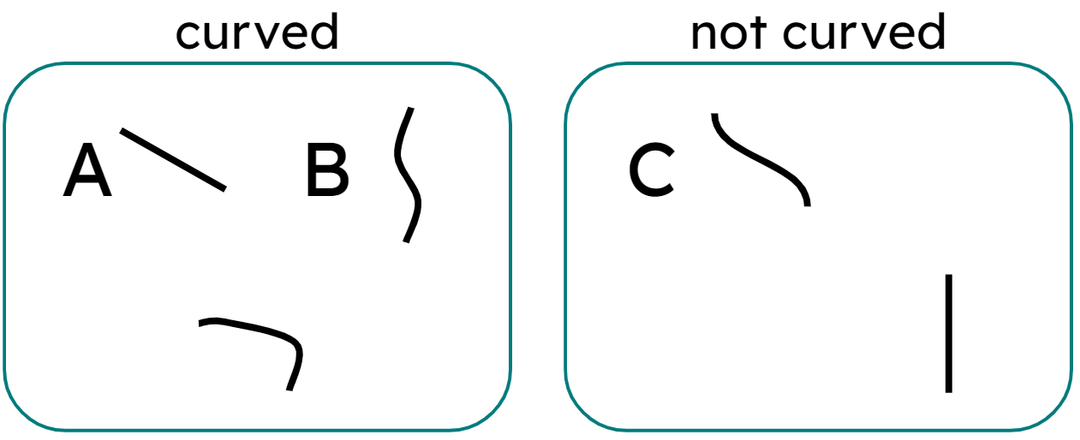 An image in a quiz