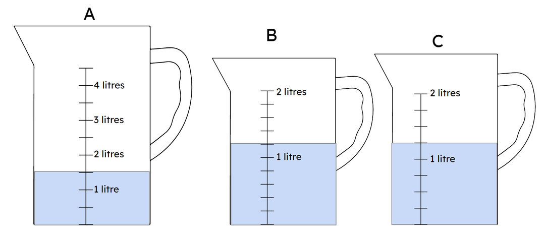 An image in a quiz