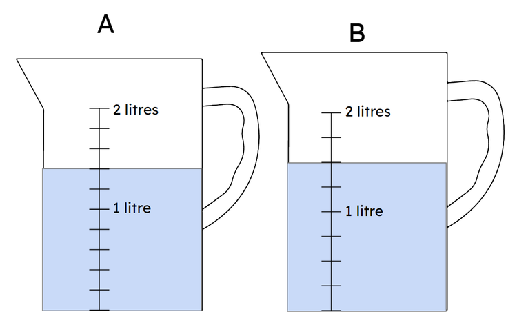 An image in a quiz