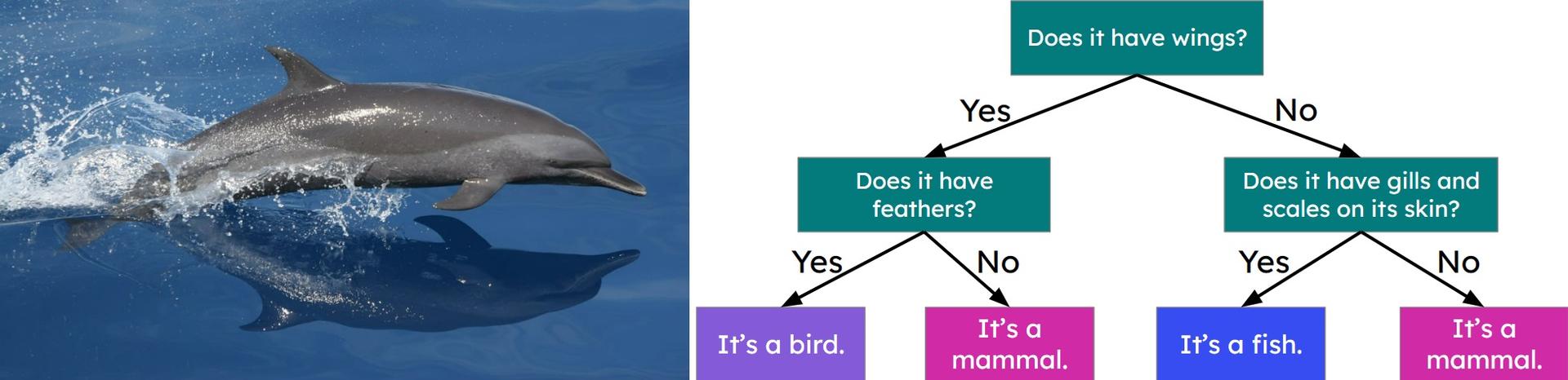 An image in a quiz