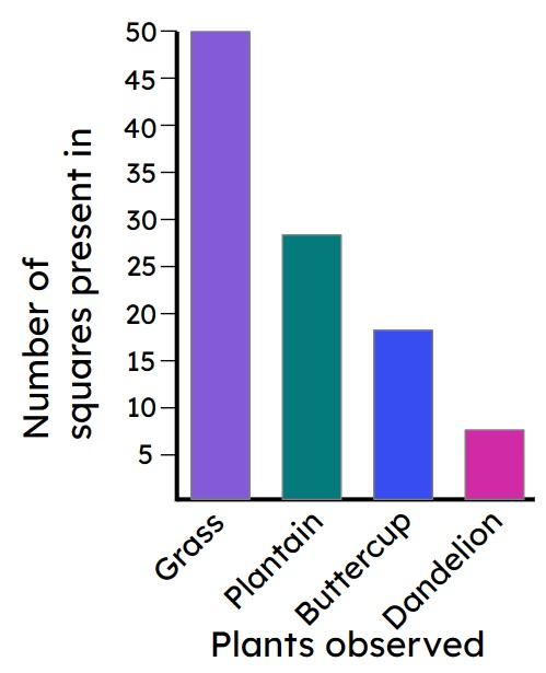 From the graph, which conclusion is correct?
