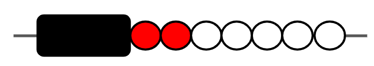 An image in a quiz