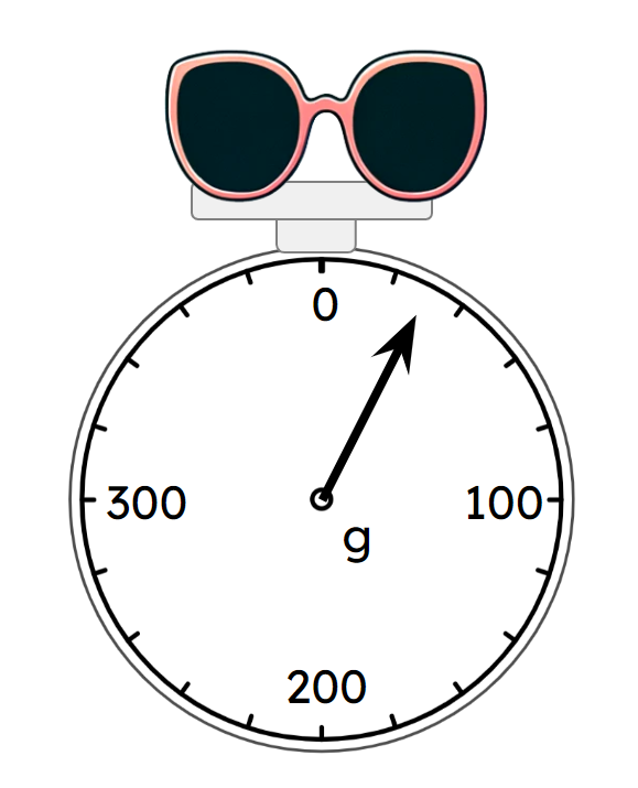 By comparing the mass to objects of known mass, Jacob estimates the mass of a pair of sunglasses to be 20 g. Sophia estimates them to have a mass of 90 g. Whose estimate was more accurate?
