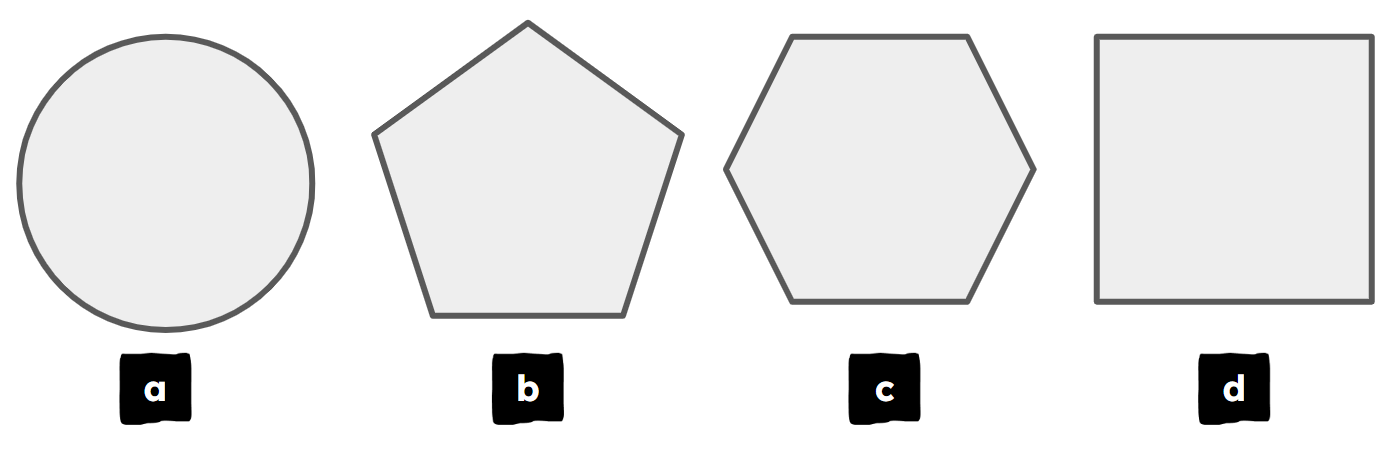 An image in a quiz