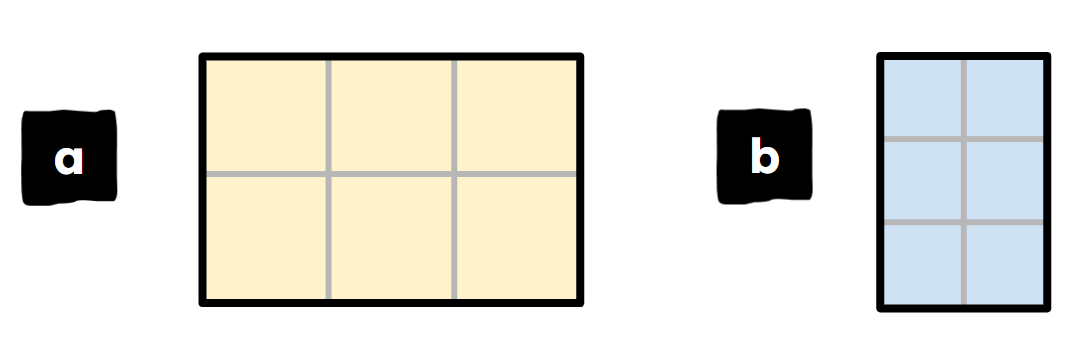 An image in a quiz