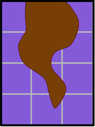 An image in a quiz