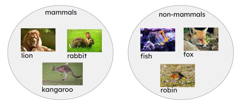 An image in a quiz