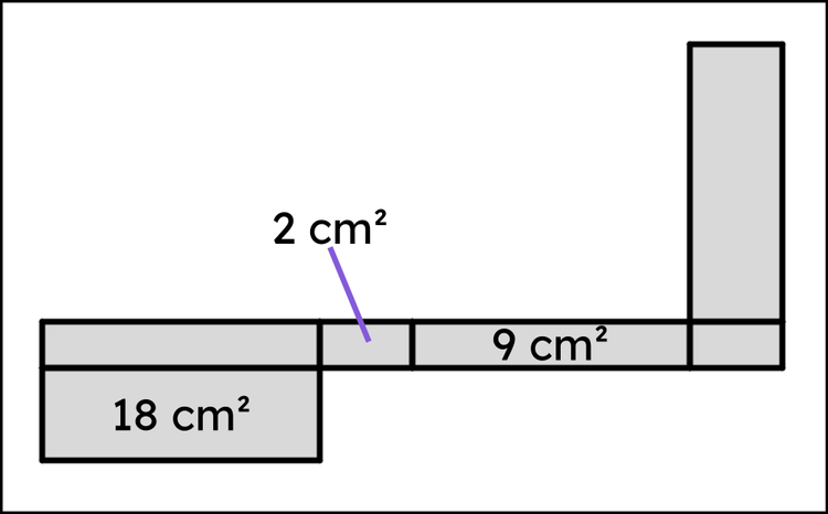 An image in a quiz