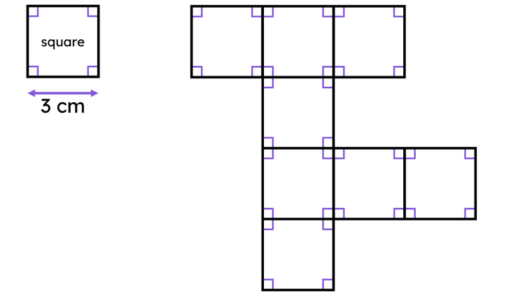 An image in a quiz