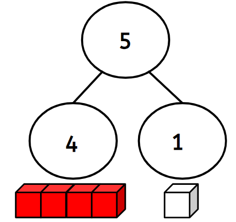 An image in a quiz