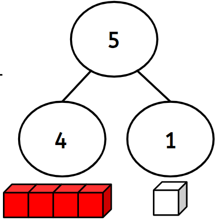 An image in a quiz