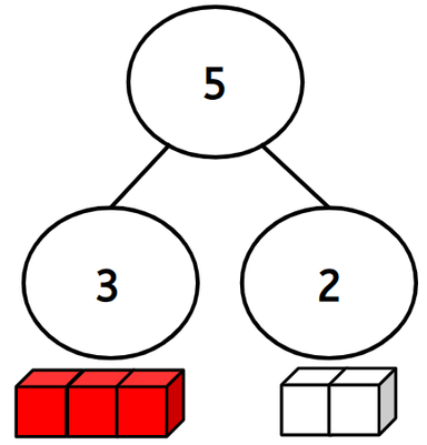 An image in a quiz