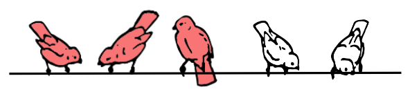 An image in a quiz