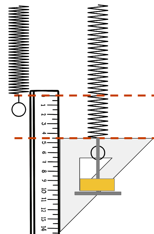 The figure shows a spring before and after a weight has been added. What is the extension of the spring when the mass is placed on it?