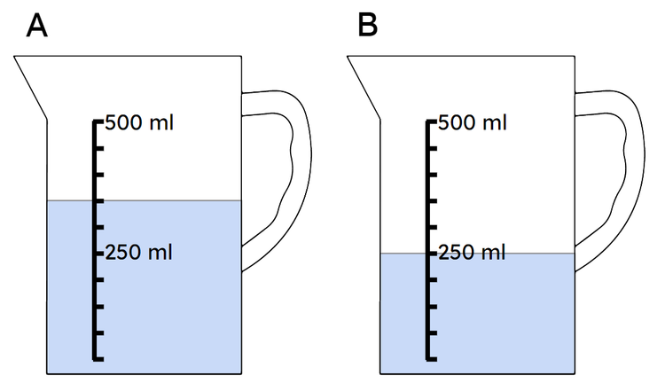 An image in a quiz