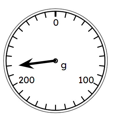 What mass is this scale showing?