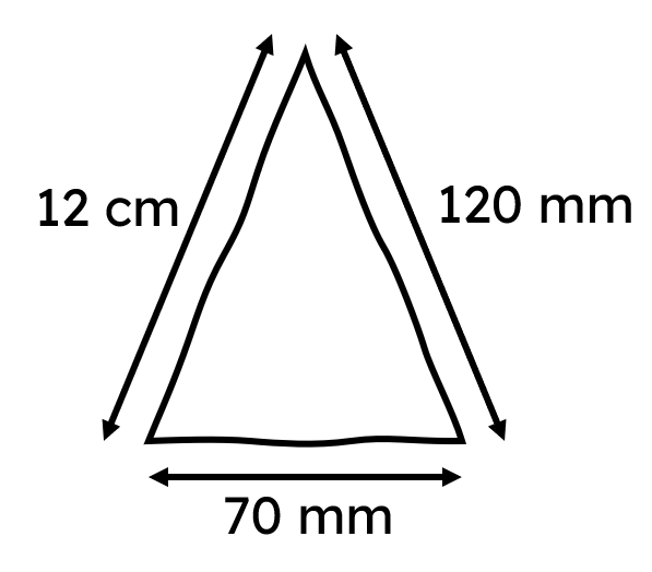 An image in a quiz