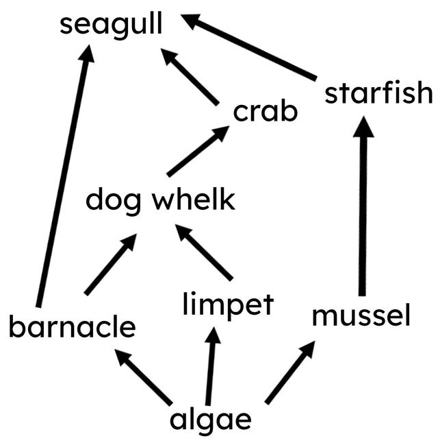 An image in a quiz