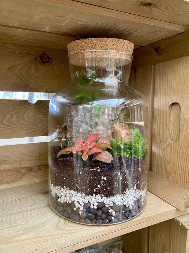 True or false? A bottle garden is an example of an ecosystem.