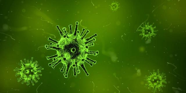 Which of the following can be pathogens?