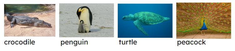 An image in a quiz
