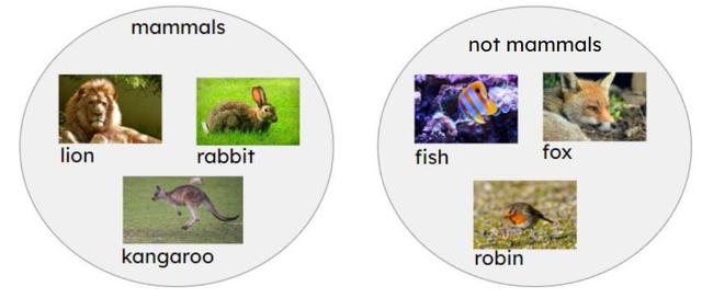 Which skill do scientists use when they observe features of things and then put them into groups?