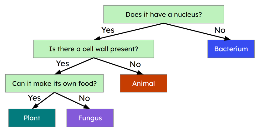 An image in a quiz