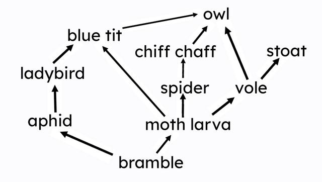 Which option correctly matches the predator to the prey, based on the food web below?