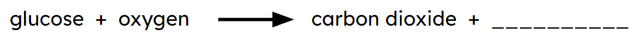 Which product is missing from the equation?