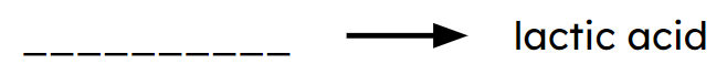 An image in a quiz