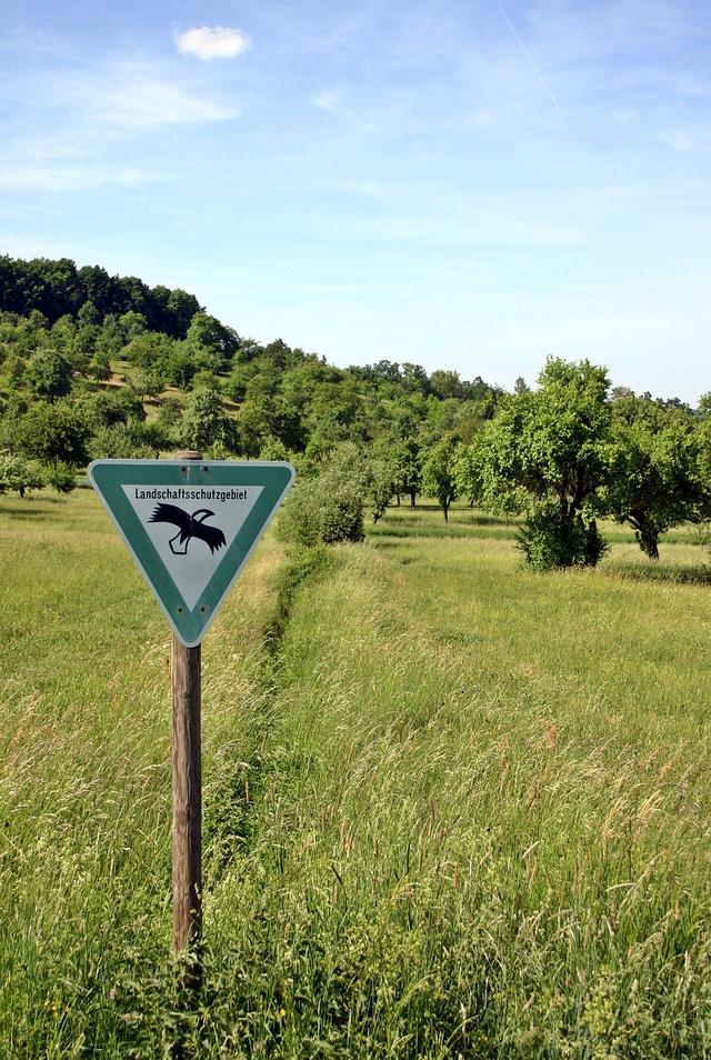 What are some of the positive impacts of creating nature reserves?