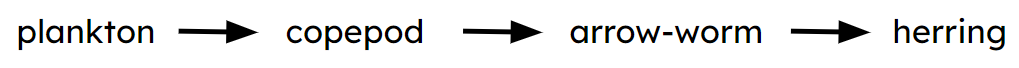An image in a quiz