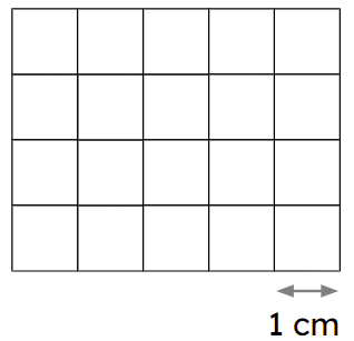 An image in a quiz