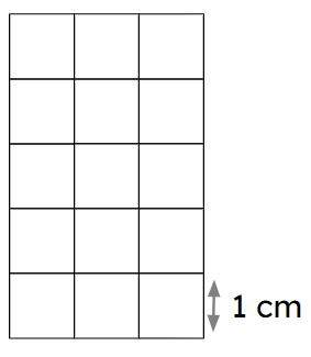 An image in a quiz