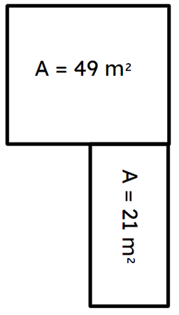 An image in a quiz